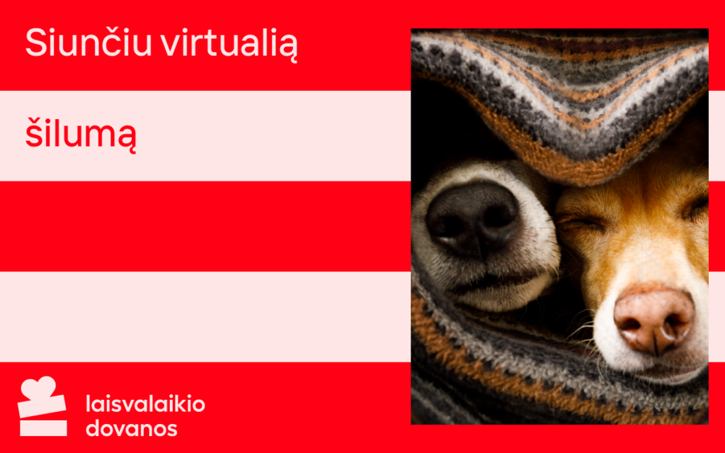 valentino dienos atvirukas, šuniukai