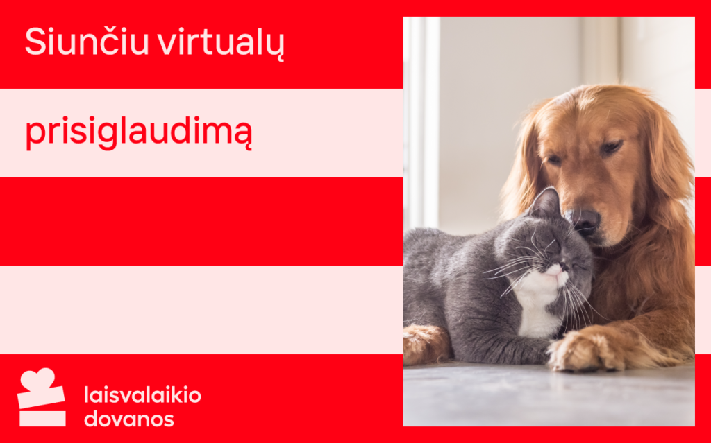 valentino dienos atvirukas, šuo ir katė, meilė