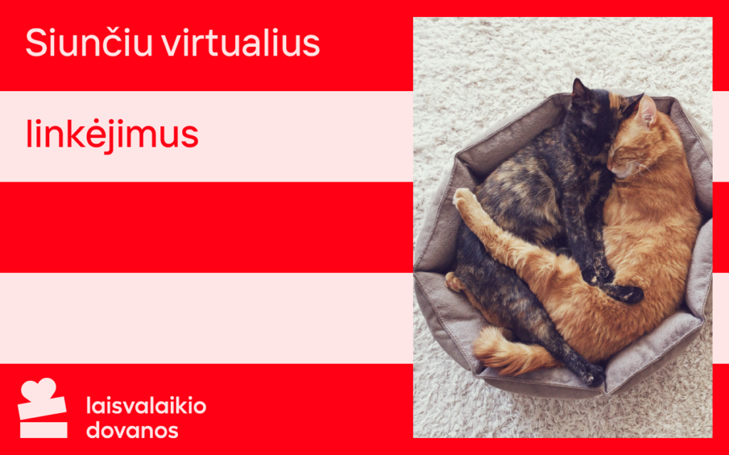 valentino dienos atvirukas, kačiukai, meilė