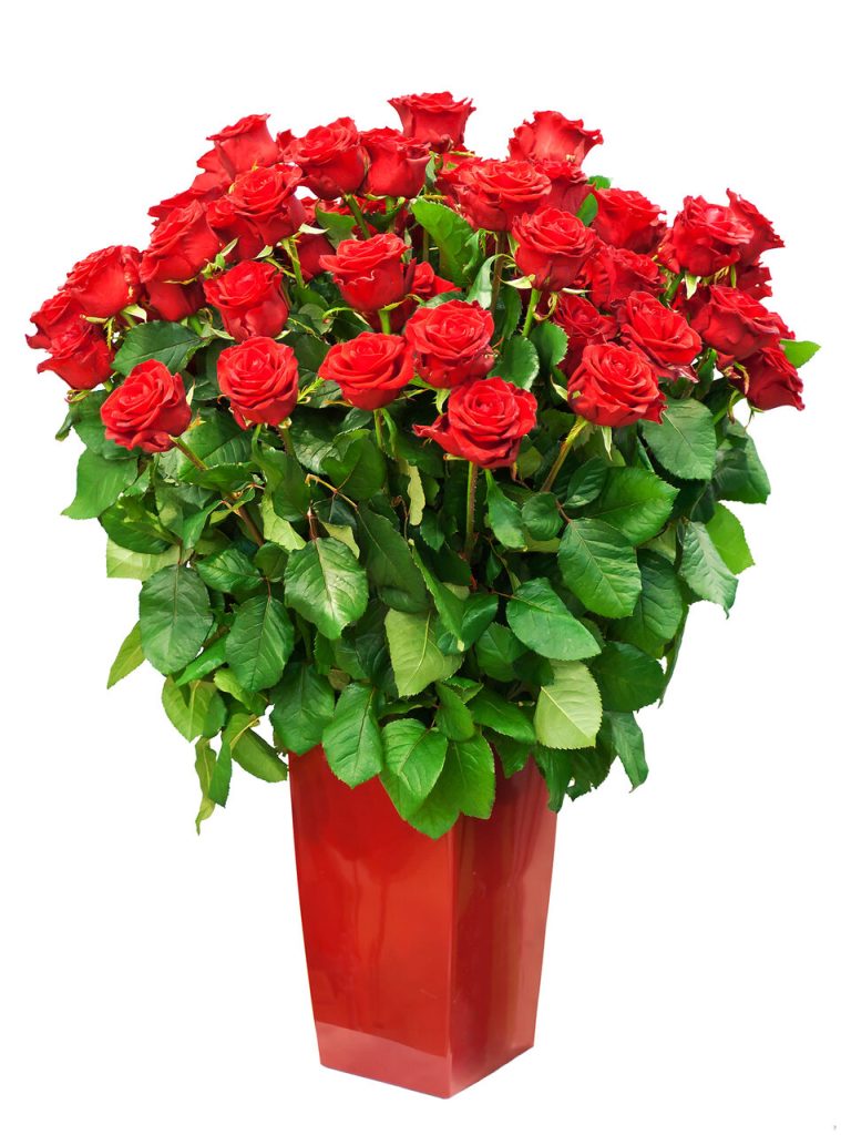 Bukiet czerwonych róż w ozdobnym czerwonym wazonie jako eleganckie kwiaty na Dzień Kobiet.