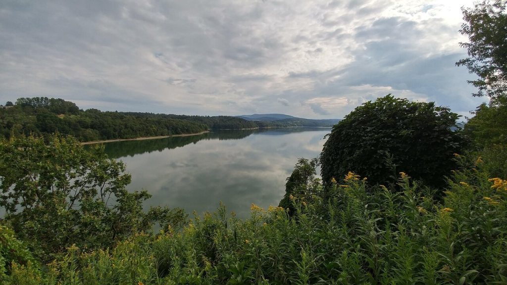 Malownicze jezioro wśród zieleni jako pomysł na spokojny wypoczynek latem w Polsce, blisko miasta.