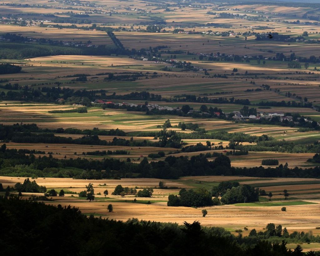 Góry Świętokrzyskie - widok ze szczytu na pola, lato